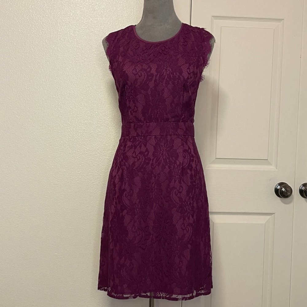 Beautiful Lace Dress | NWT